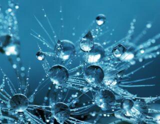 gotas de agua desenfocadas